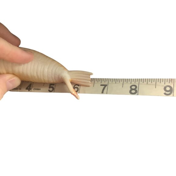 Vtg Realistic Plastic Walrus Animal Figurine Toy 6.5" Educational - Picture 5 of 5